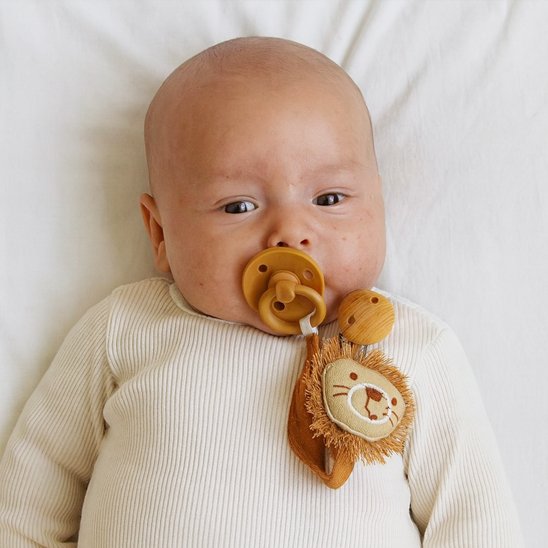 attache tetine bebe avec sa tetine a la bouche