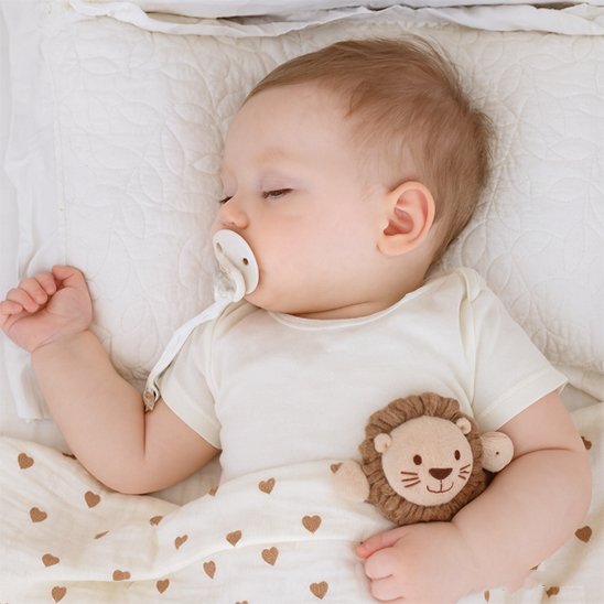 attache tetine tete de lion bebe qui dort